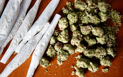 Разные виды сырья марихуаны - клиника Квинмед