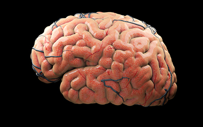 Влияние наркотиков на мозг - клиника Квинмед